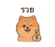 880086224