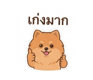 880086226