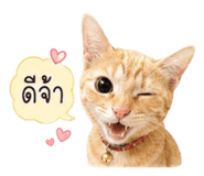 880089594