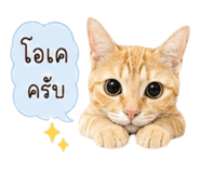 880089597