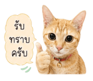 880089598