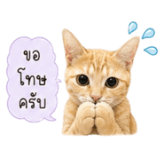 880089599