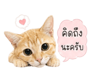 880089604