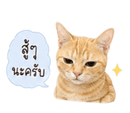 880089605