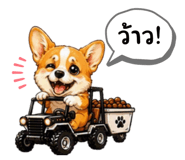 880090092
