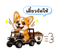880090096