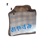 880096889