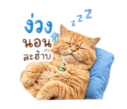 880100510