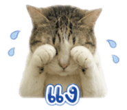 880101754