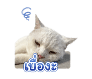 880101761