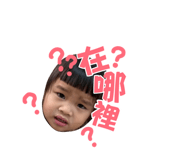 880104104