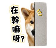 880104963
