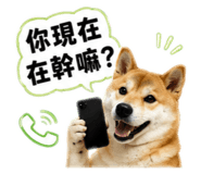 880104964
