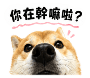 880104967