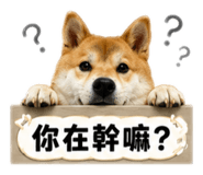 880104971