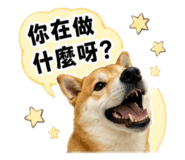 880104972