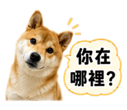 880104975