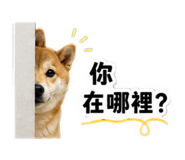 880104977