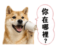 880104990