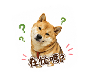 880108725