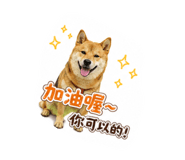 880108728