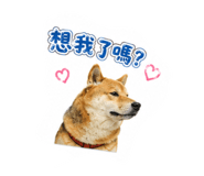 880108729
