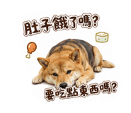 880108733