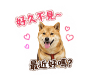 880108734