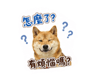 880108735
