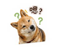 880108738