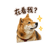 880108739