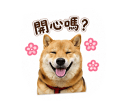 880108740