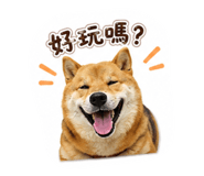 880108741