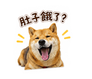 880108744