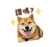 880108745