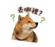 880108746