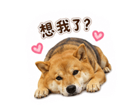 880108747