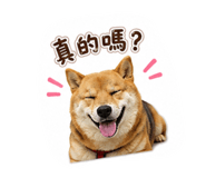880108748