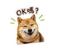 880108749