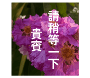 880110217