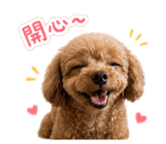 880111560