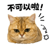 880112297