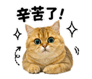 880112300