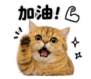 880112302