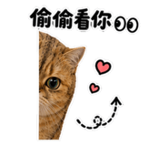 880112303