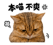 880112304