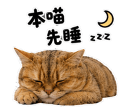 880112309