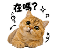880112310