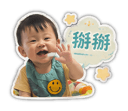880113295