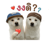 880136859